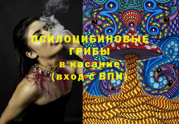 ГАЛЛЮЦИНОГЕННЫЕ ГРИБЫ Магадан