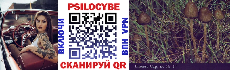 Купить закладки  Хвалынск  Псилоцибиновые грибы Psilocybine cubensis 